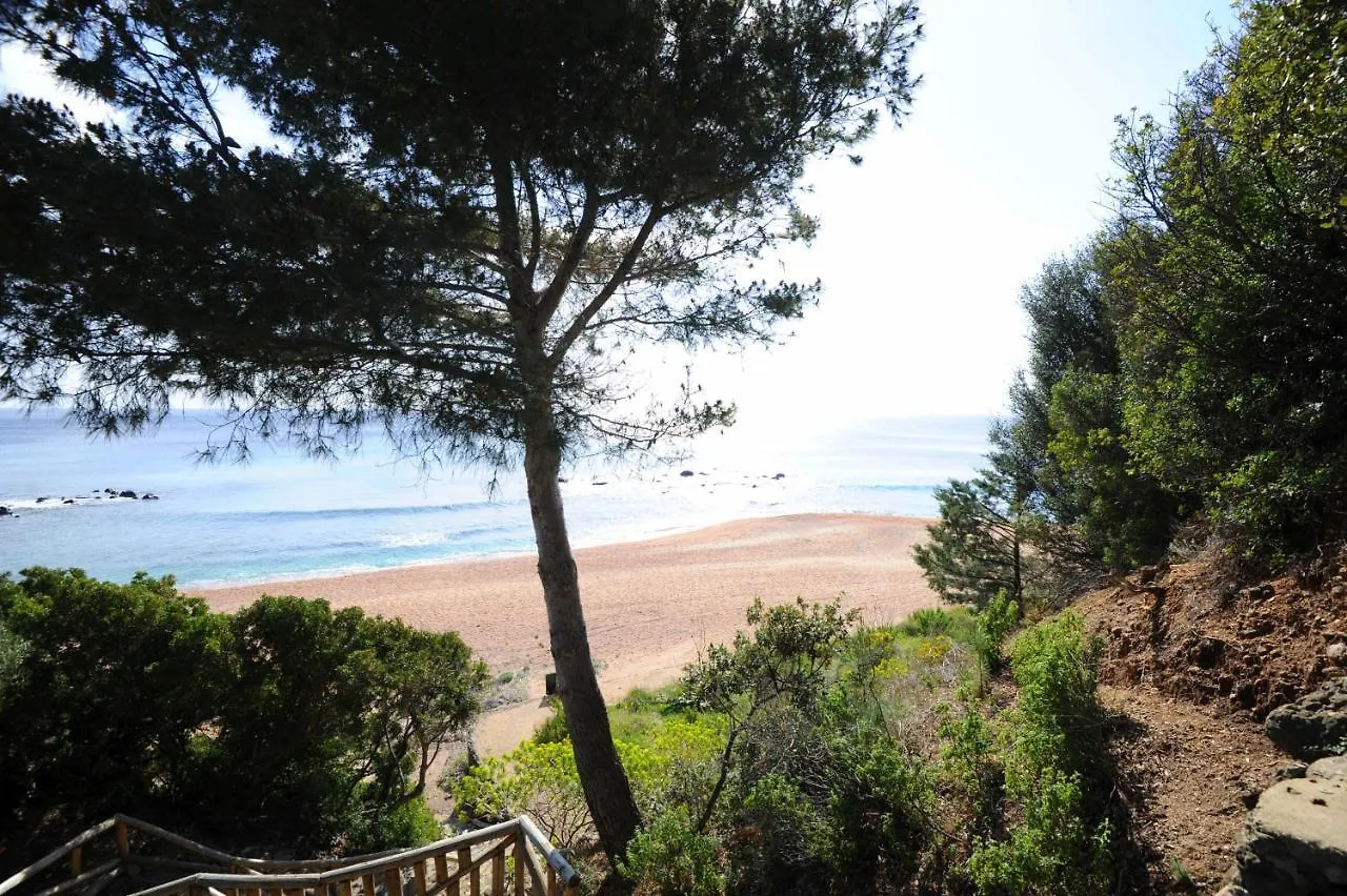 Casa Sulla Spiaggia Beach Home Steps To Beach Cala Gonone Appartement